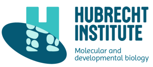 Logo van KNAW Hubrecht Instituut voor Ontwikkelingsbiologie en Stamcelonderzoek